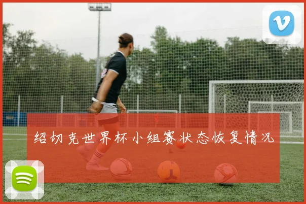 绍切克世界杯小组赛状态恢复情况