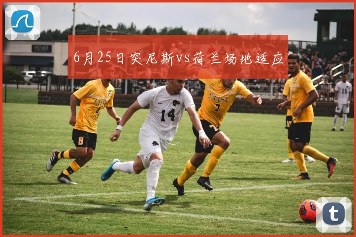 6月25日突尼斯vs荷兰场地适应