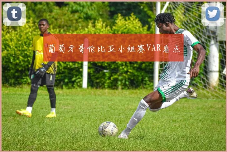 葡萄牙哥伦比亚小组赛VAR看点