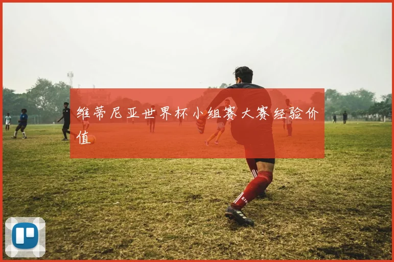 维蒂尼亚世界杯小组赛大赛经验价值