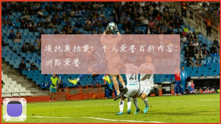 埃托奥档案:个人荣誉百科内容:洲际荣誉