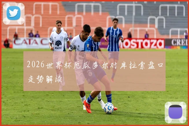 2026世界杯厄瓜多尔对库拉索盘口走势解读