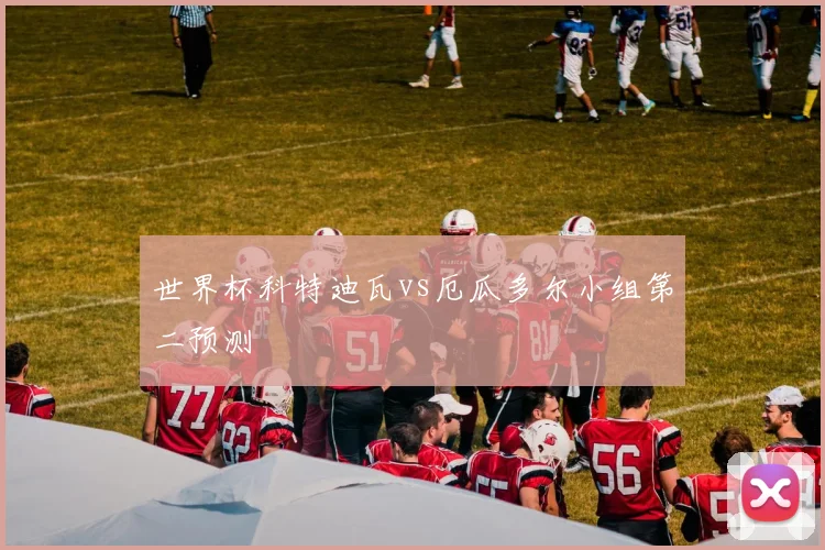 世界杯科特迪瓦vs厄瓜多尔小组第二预测